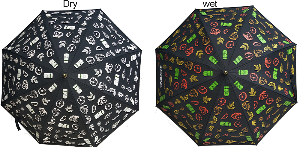 Color changing magic umbrella -SU38