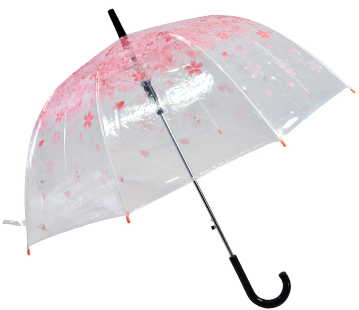 Transparent umbrella-PU012